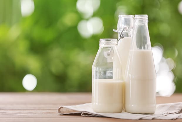 Botellas de leche de vidrio en una granja