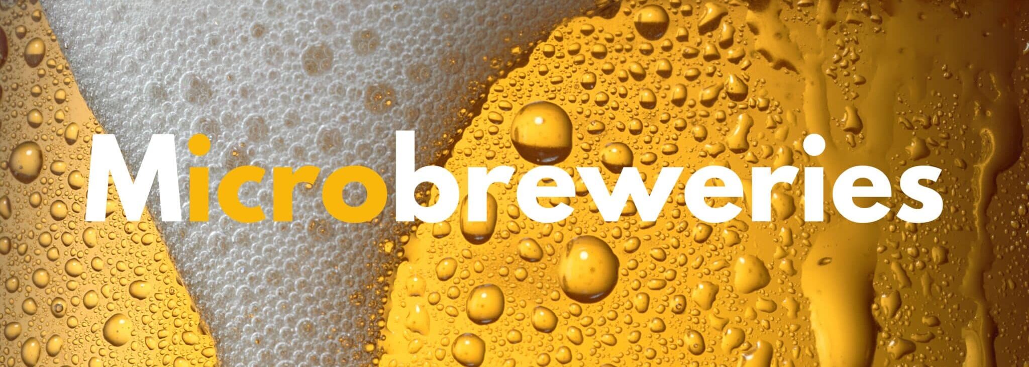 Bottle washers for microbreweries