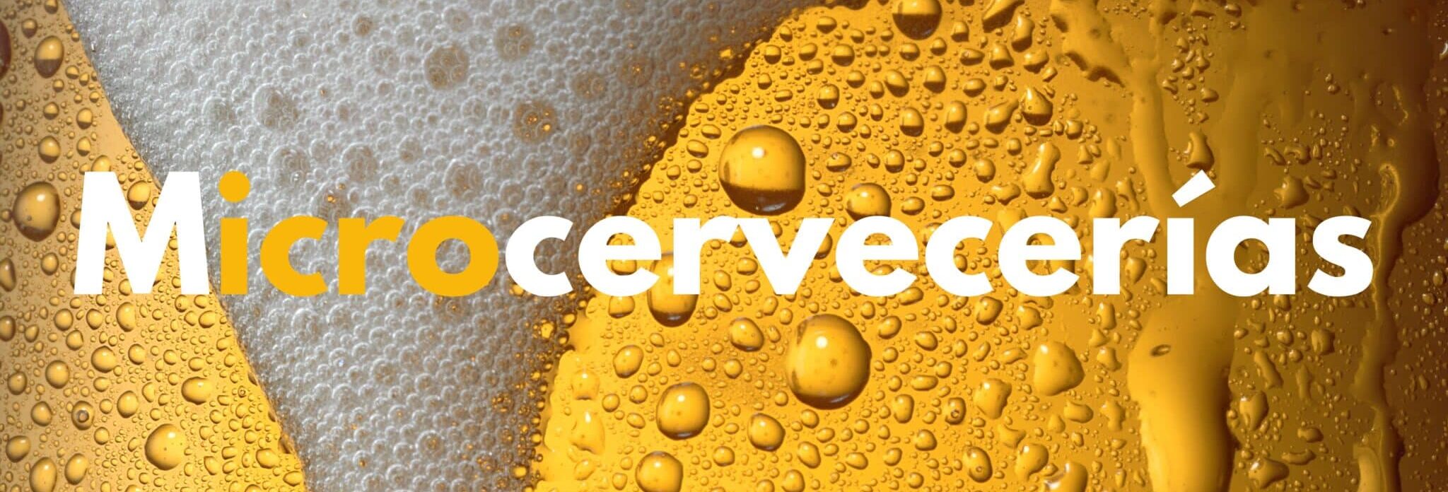 Microcervecerias industry is eco-responsible thanks to the Aquatech-BM bottle washer