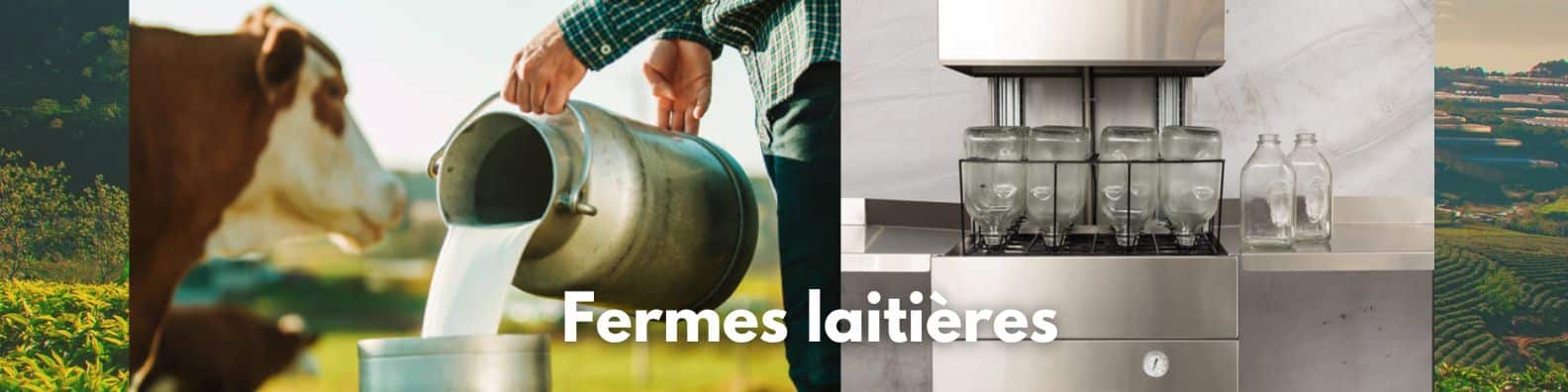 Bouteilles utilisées dans les fermes respectant les lois et normes de santé et d'hygiène grâce à un lavage minutieux avec une machine à laver les bouteilles